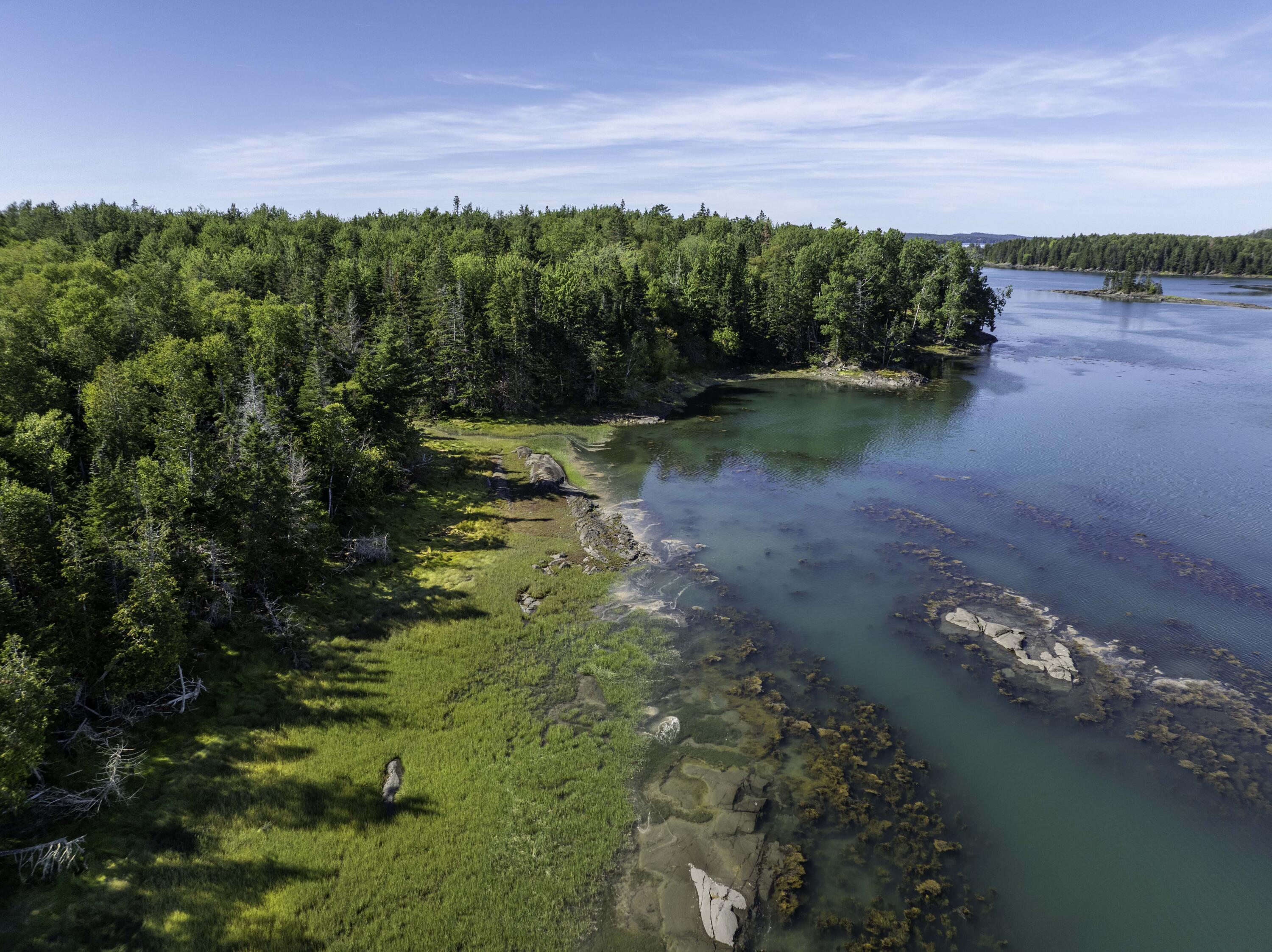 Lot 48 Coffins Neck Road Lubec, ME 04652 - Photo 5 of 7 Lot 48 Coffins Neck Road, Lubec (7 of 11
