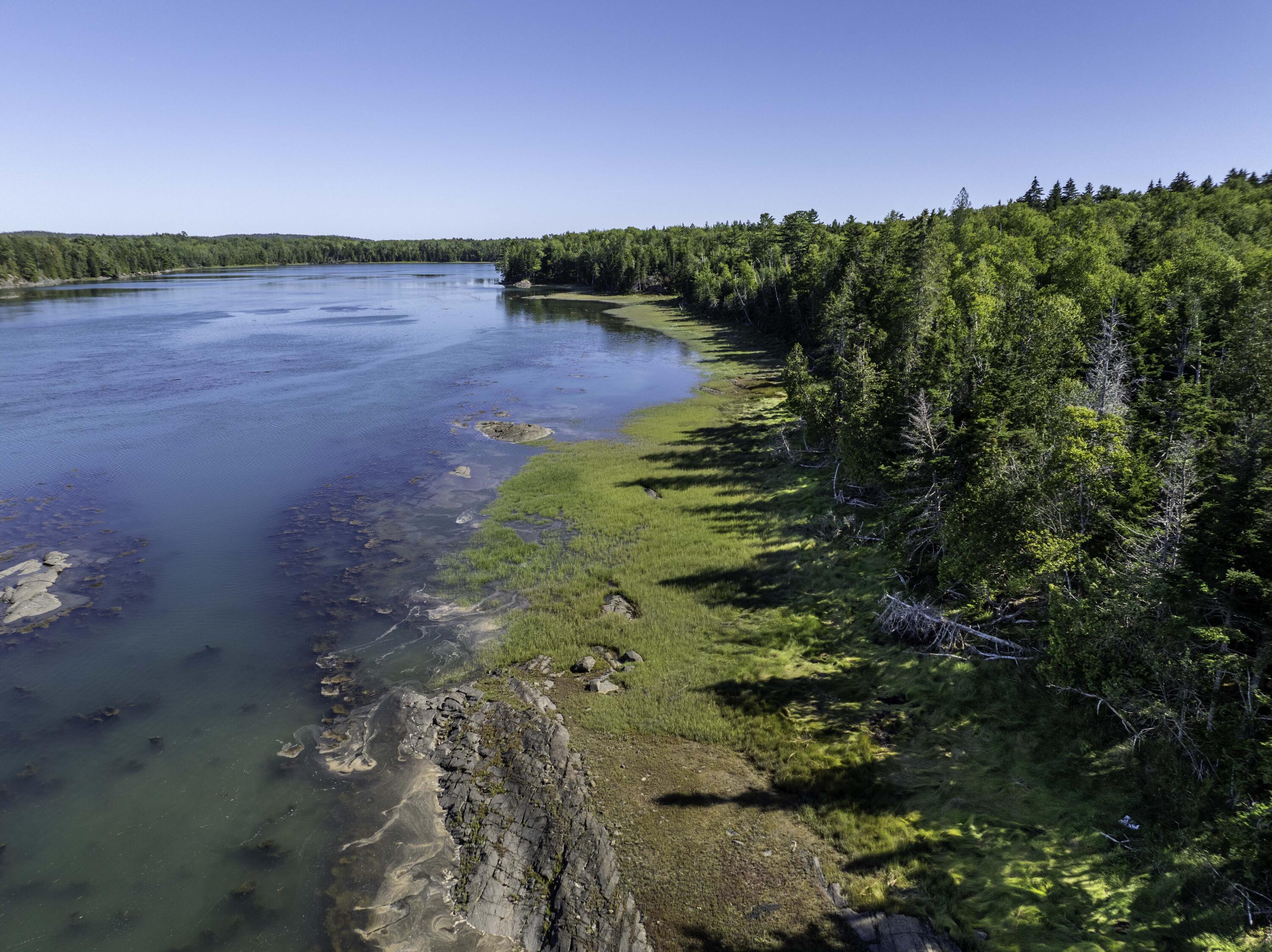 Lot 48 Coffins Neck Road Lubec, ME 04652 - Photo 6 of 7 Lot 48