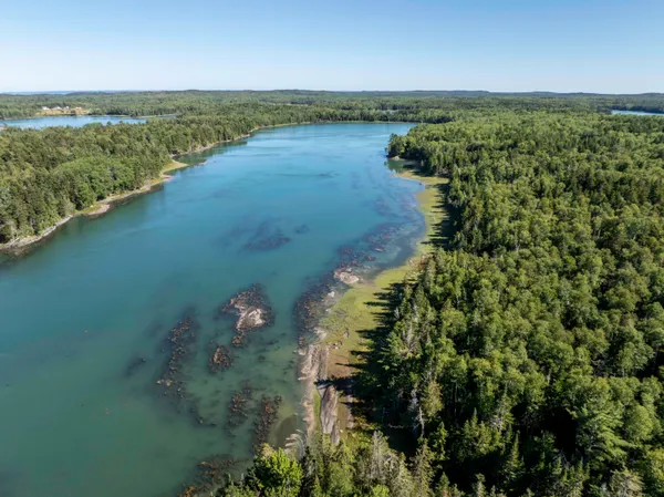 $85,000 | Lot 48 Coffins Neck Road, Lubec, ME 04652