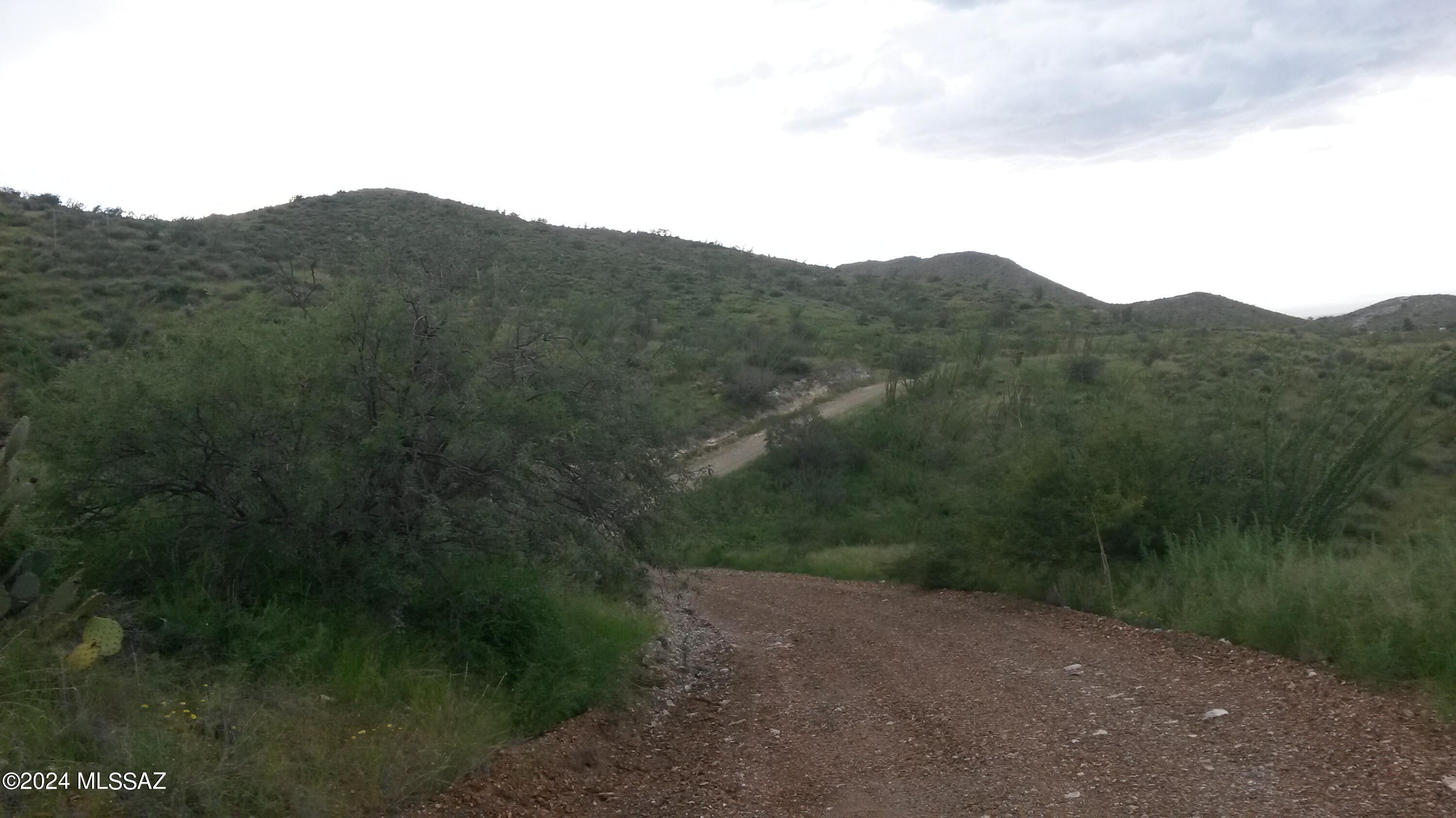 South Goodenough Trail Vail, AZ 85641 - Photo 3 of 6