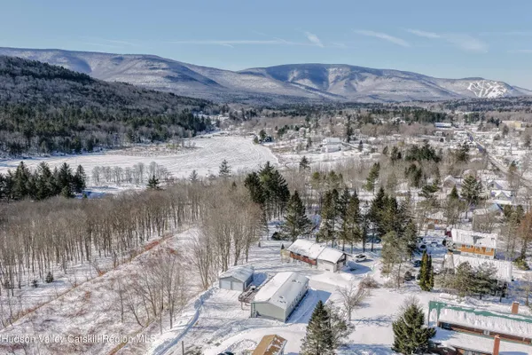 a view of a lake with a mountain
