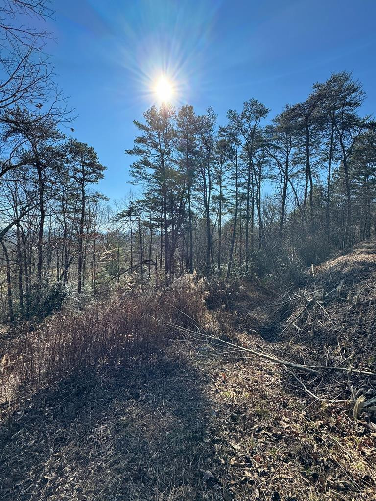 0 Mistletoe Ridge Murphy, NC 28906 - Photo 31 of 34