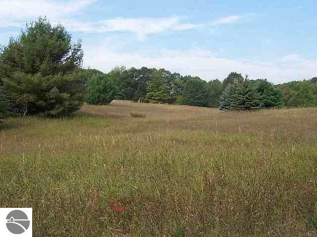 Lot 'e' Lot 'e' Frog Hollow Road Breckenridge, MI 48615 - Photo 4 of 8 1668731-3.JPG