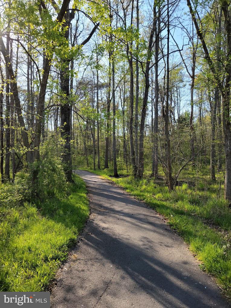 14808 Braddock Road Centreville, VA 20120 - Photo 99 of 111