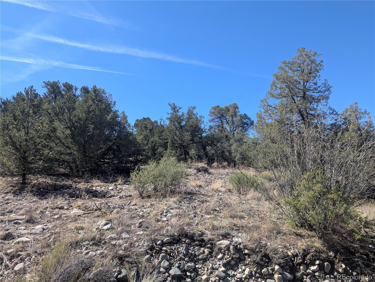 200 Mill Run Road Mosca, CO 81146 - Photo 6 of 33 a view of a dry yard with trees in the background