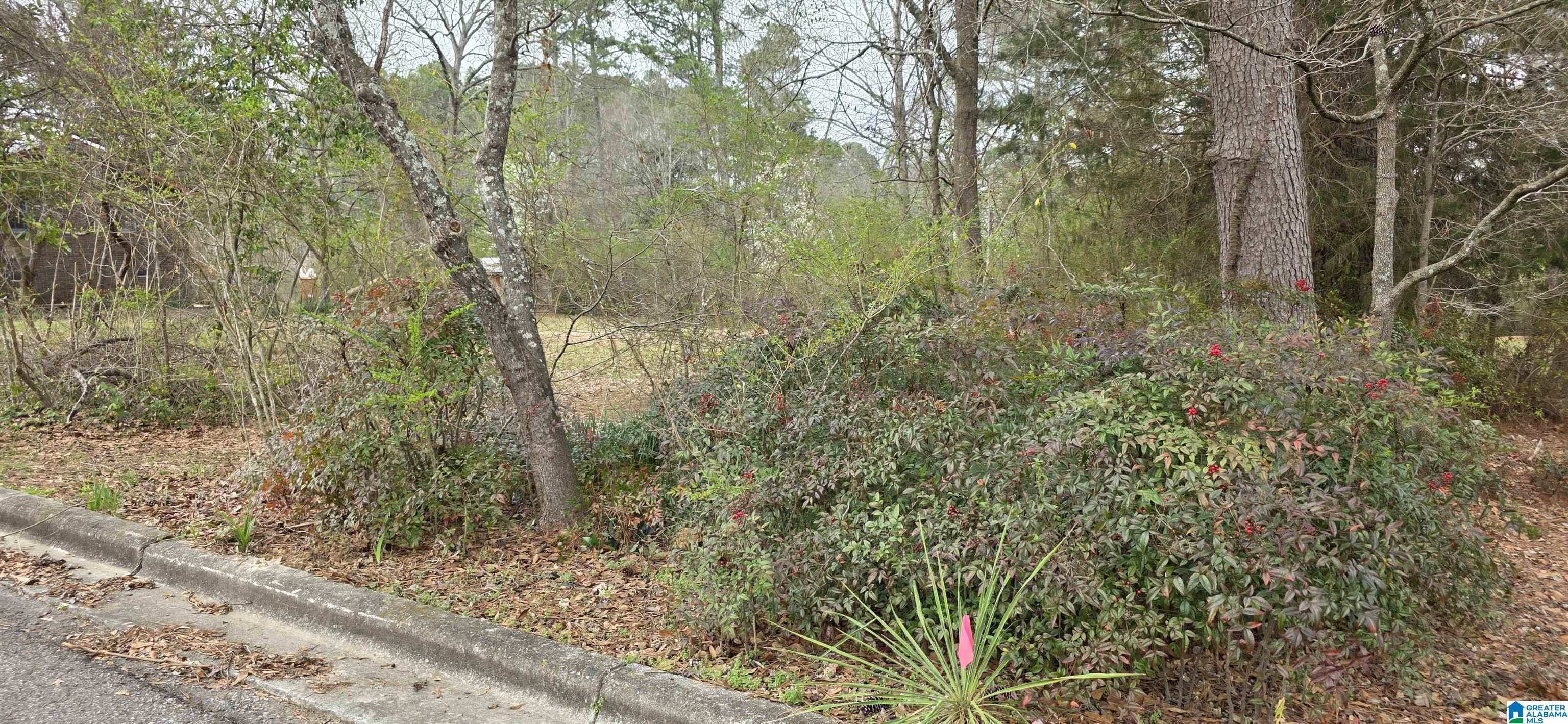 Lot 7 Goehler Road, Unit 7B Cullman, AL 35055 - Photo 4 of 5
