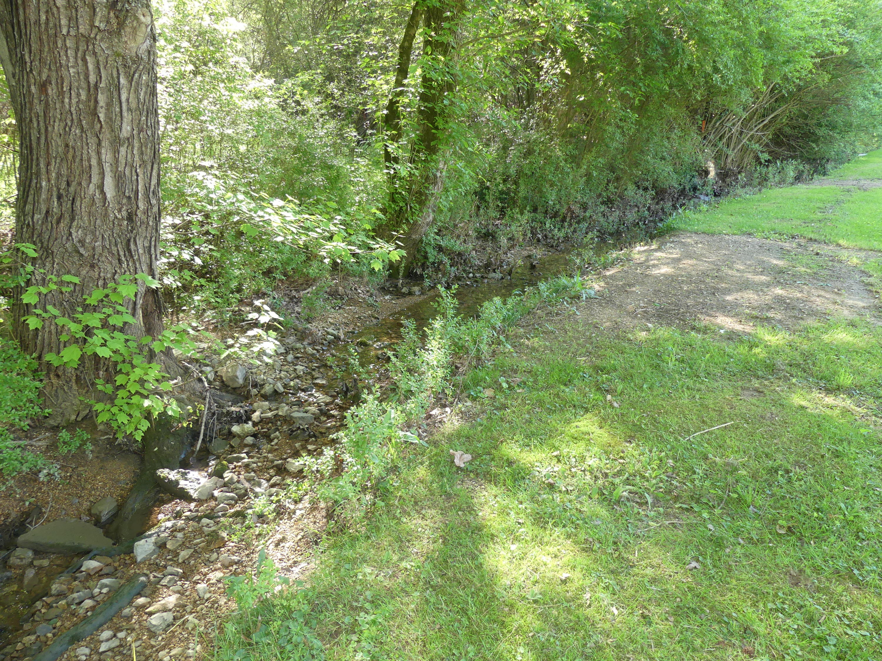 121 County Road 1150 Riceville, TN 37370 - Photo 37 of 40 P1030415