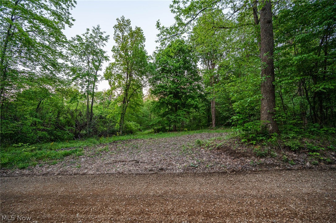 1089 Township Road Perrysville, OH 44864 - Photo 1 of 23 Gallery Image 1