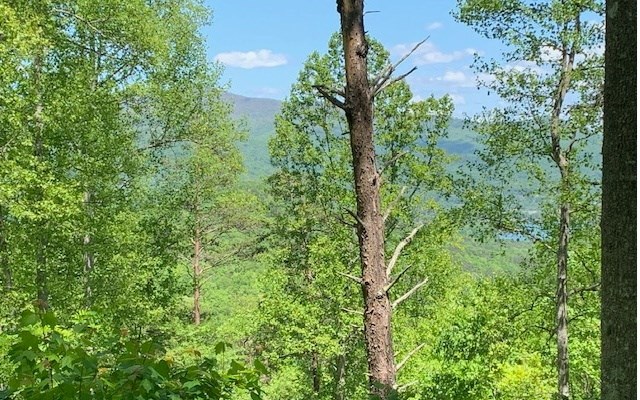 Lot 8 Hidden Summit Road Hiawassee, GA 30546 - Photo 6 of 10