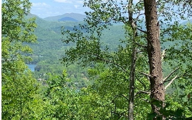 Lot 8 Hidden Summit Road Hiawassee, GA 30546 - Photo 7 of 10