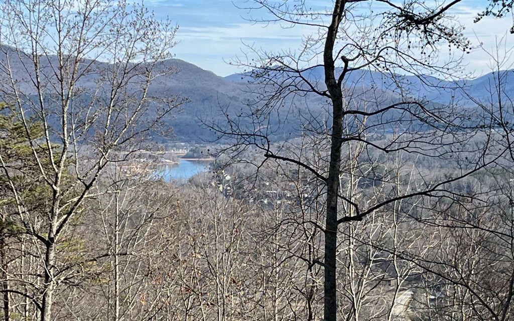 Lot 8 Hidden Summit Road Hiawassee, GA 30546 - Photo 8 of 10