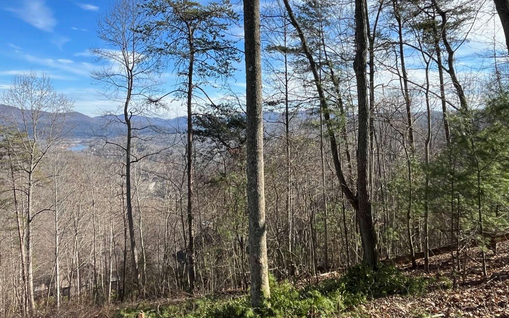 Lot 8 Hidden Summit Road Hiawassee, GA 30546 - Photo 9 of 10