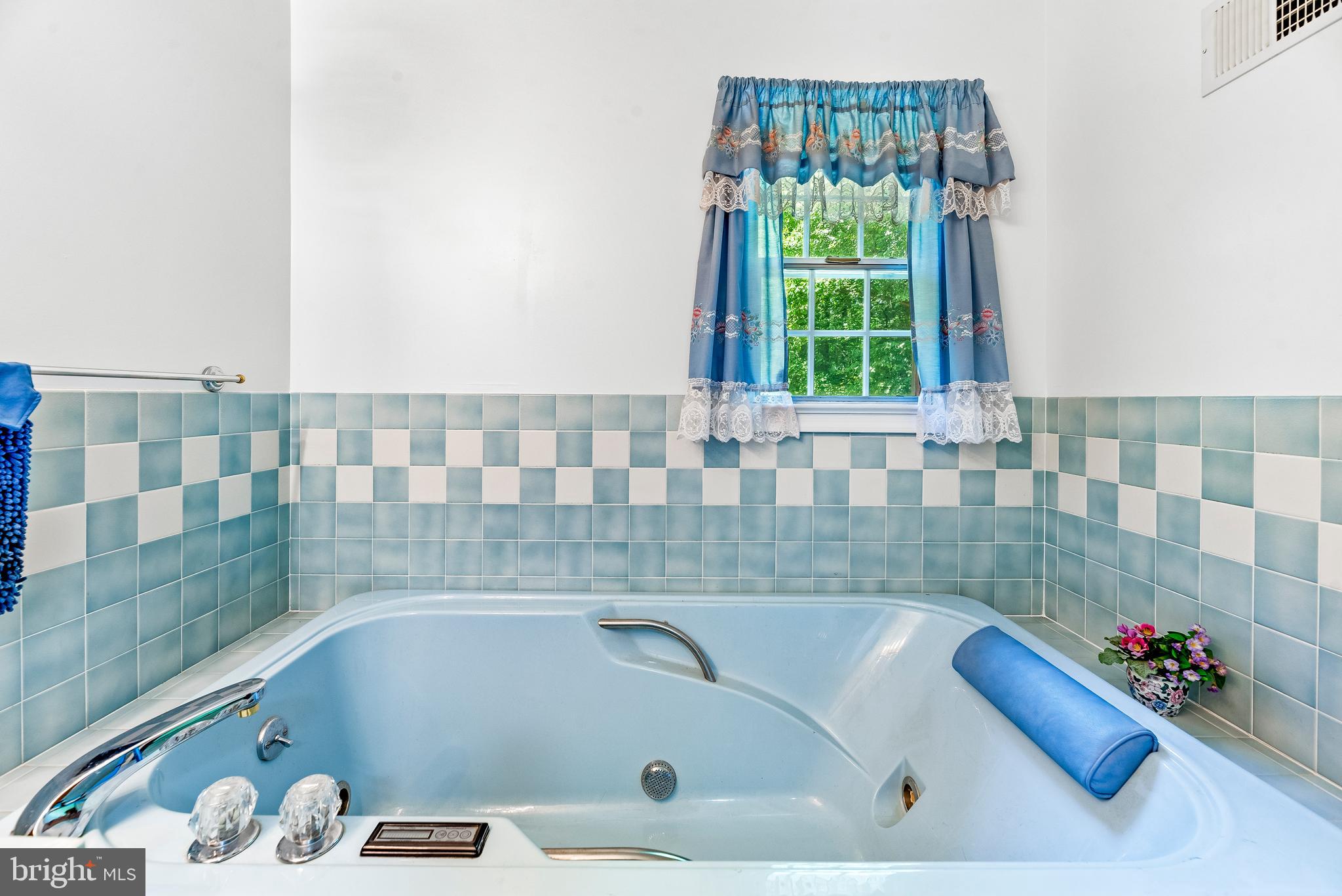 8310 Waverly Road Owings, MD 20736 - Photo 20 of 36 Large soaking tub on the right.