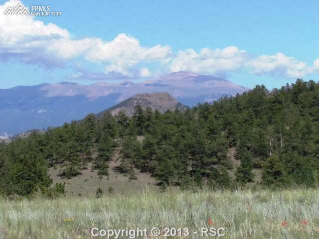 1360 Julia Road Guffey, CO 80820 - Photo 1 of 18