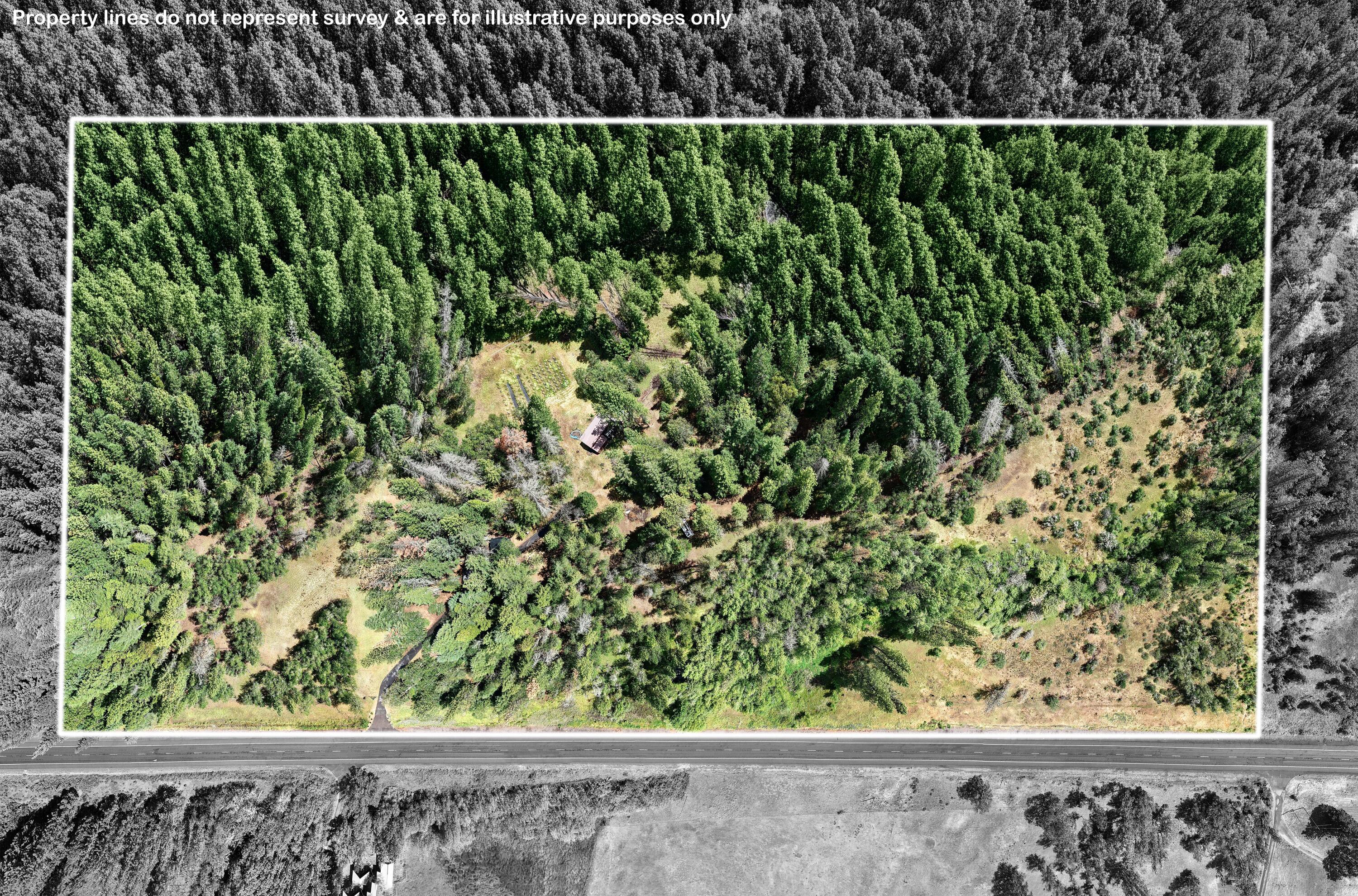42256 Highway 62 Prospect, OR 97536 - Photo 3 of 48 a view of a garden