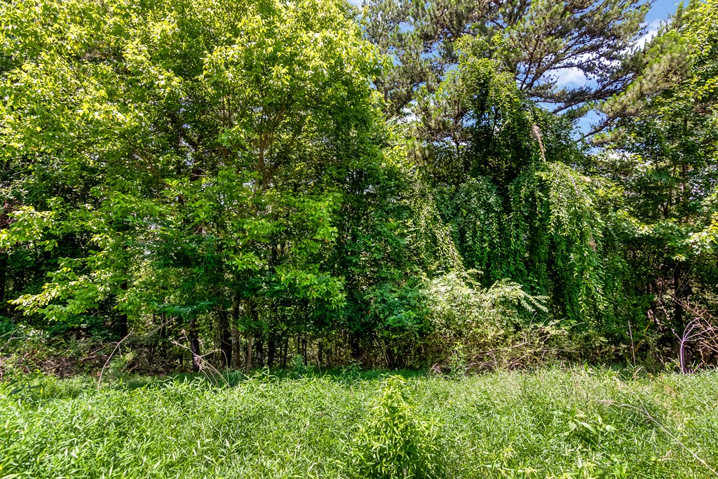 Lot 36 Talona Mountain Road Ellijay, GA 30536 - Photo 15 of 17