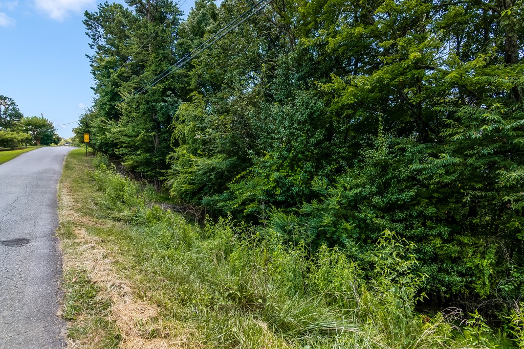 Lot 36 Talona Mountain Road Ellijay, GA 30536 - Photo 2 of 17