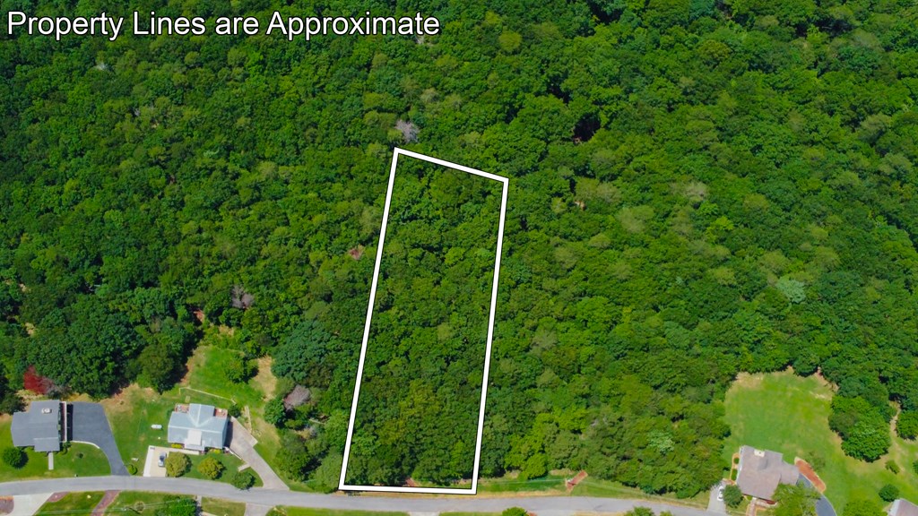 Lot 36 Talona Mountain Road Ellijay, GA 30536 - Photo 5 of 17