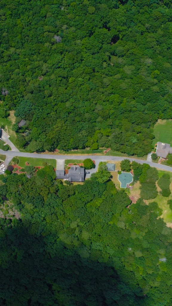 Lot 36 Talona Mountain Road Ellijay, GA 30536 - Photo 8 of 17