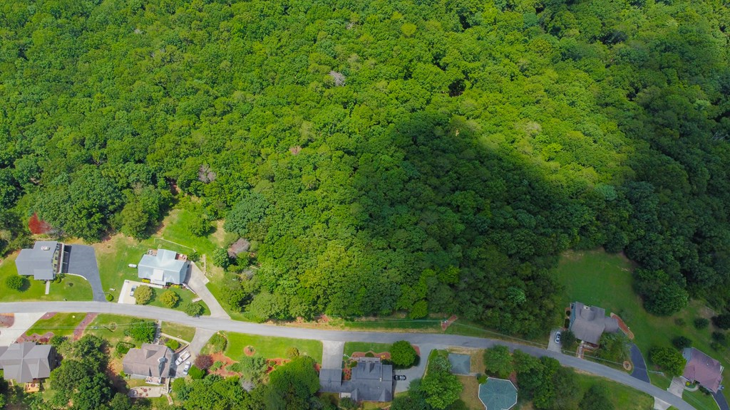 Lot 36 Talona Mountain Road Ellijay, GA 30536 - Photo 9 of 17