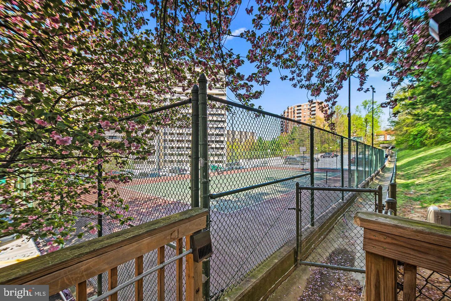 5911 Edsall Road, Unit 608 Alexandria, VA 22304 - Photo 32 of 42 Tennis courts