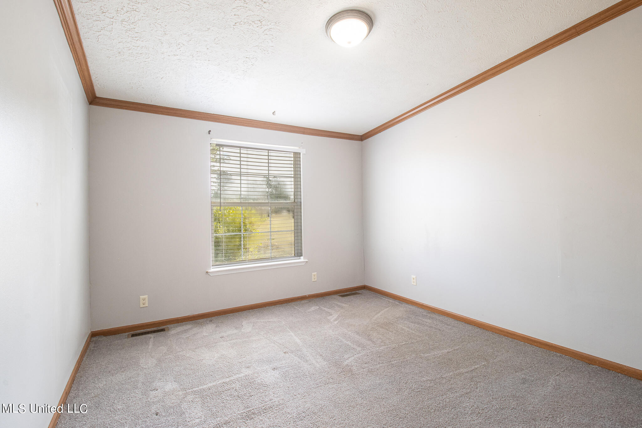 12105 Ridgeland Road Vancleave, MS 39565 - Photo 15 of 26 12105 Ridgeland Road-62008