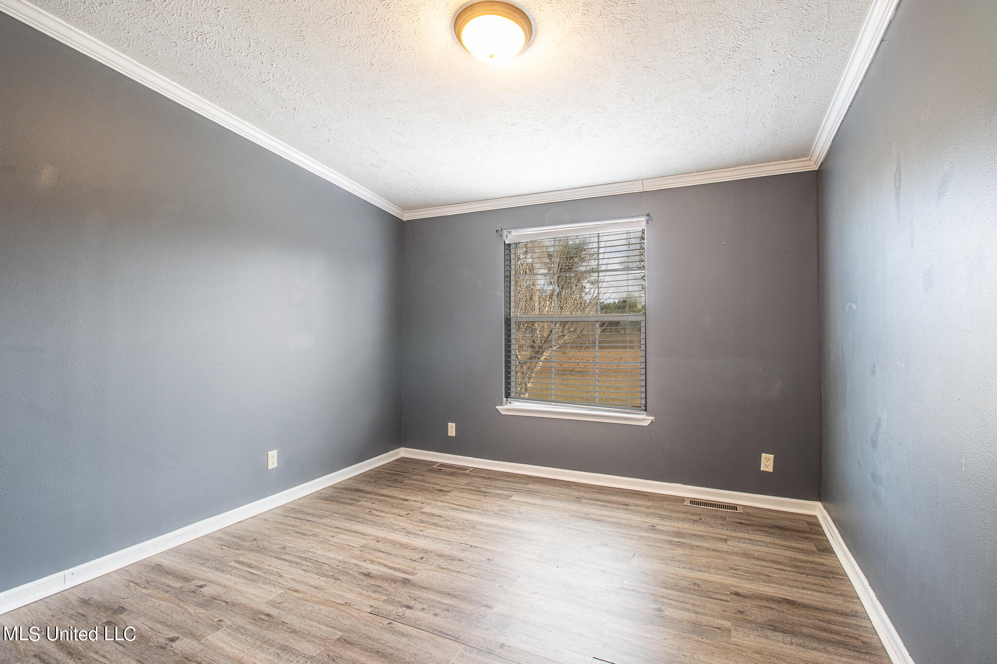 12105 Ridgeland Road Vancleave, MS 39565 - Photo 17 of 26 12105 Ridgeland Road-62011