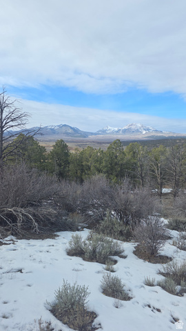 60 Wray Mesa Road, Unit 2 La Sal, UT 84530 - Photo 1 of 11 La Sal Mountains view
