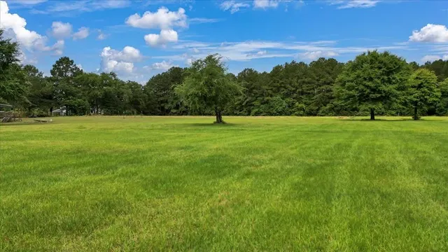 a view of an ocean and a yard