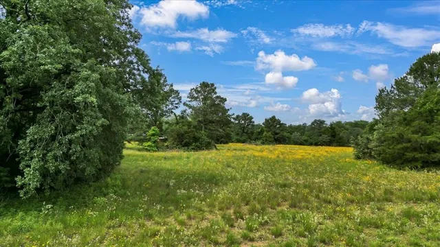 a view of backyard with green space