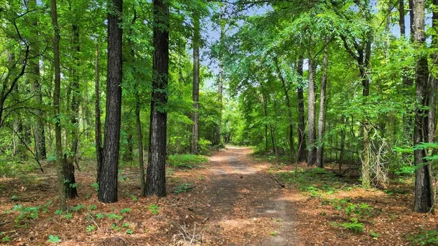 a view of a yard with a tree