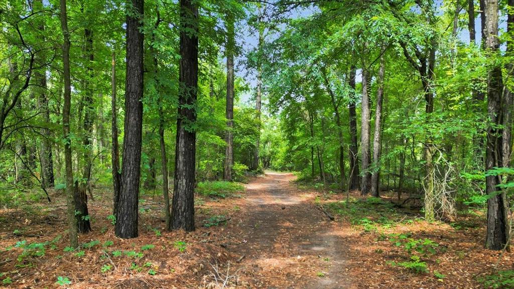 6299 Highway 271 Gilmer, TX 75644 - Photo 30 of 39 a view of backyard with green space