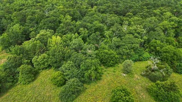 a view of a lake with a mountain