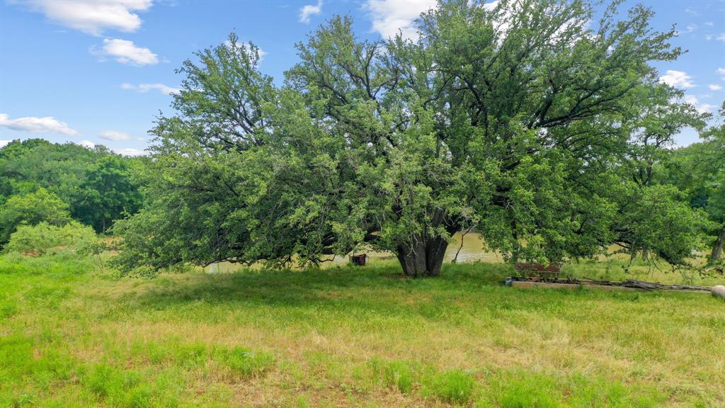 Tbd Goen Road Millsap, TX 76066 - Photo 15 of 26