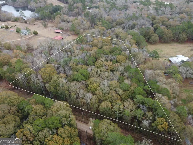 a view of a forest with a houses
