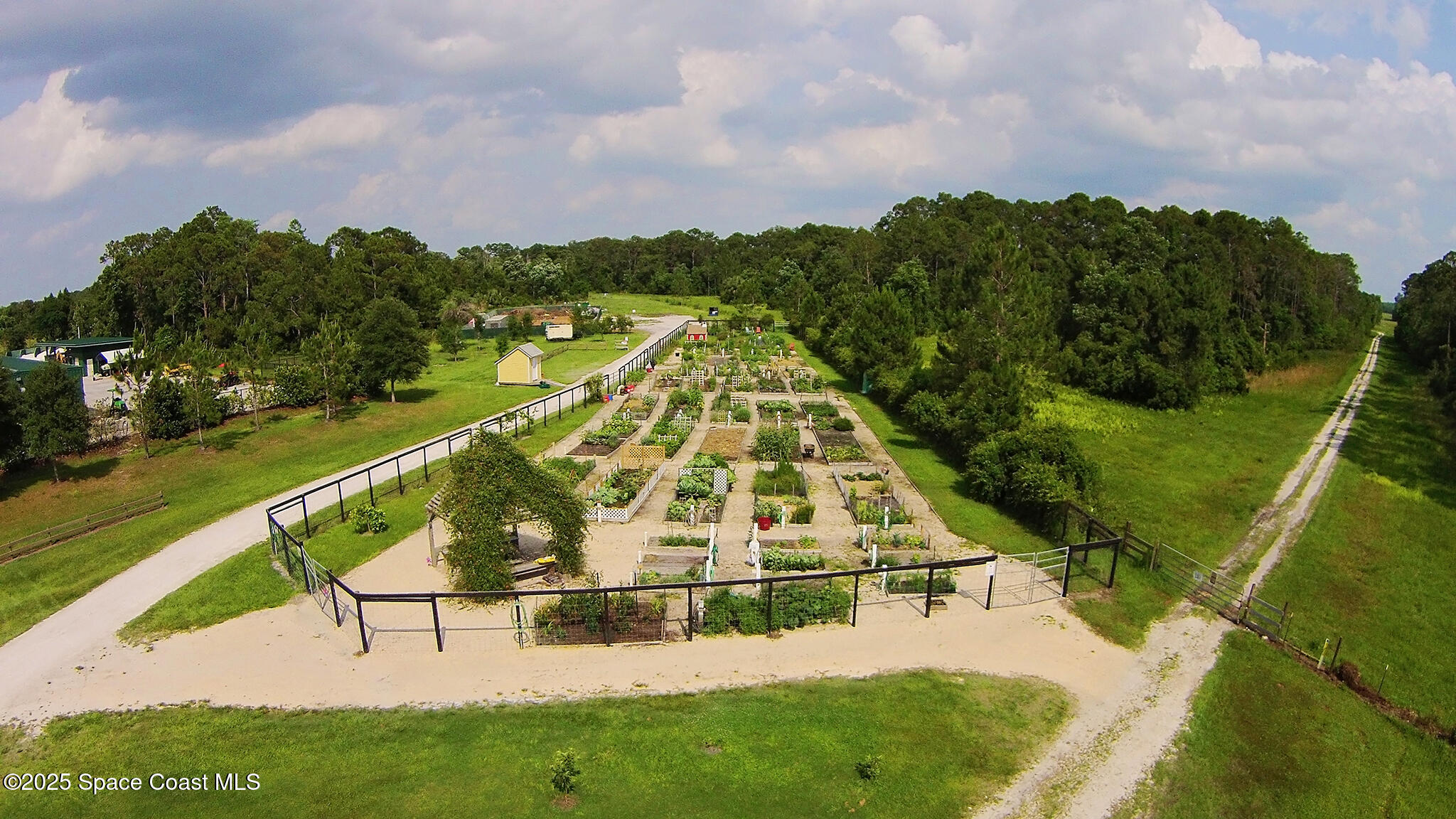 3607 Clay Brick Road Harmony, FL 34773 - Photo 53 of 72 a view of swimming pool with a garden and trees