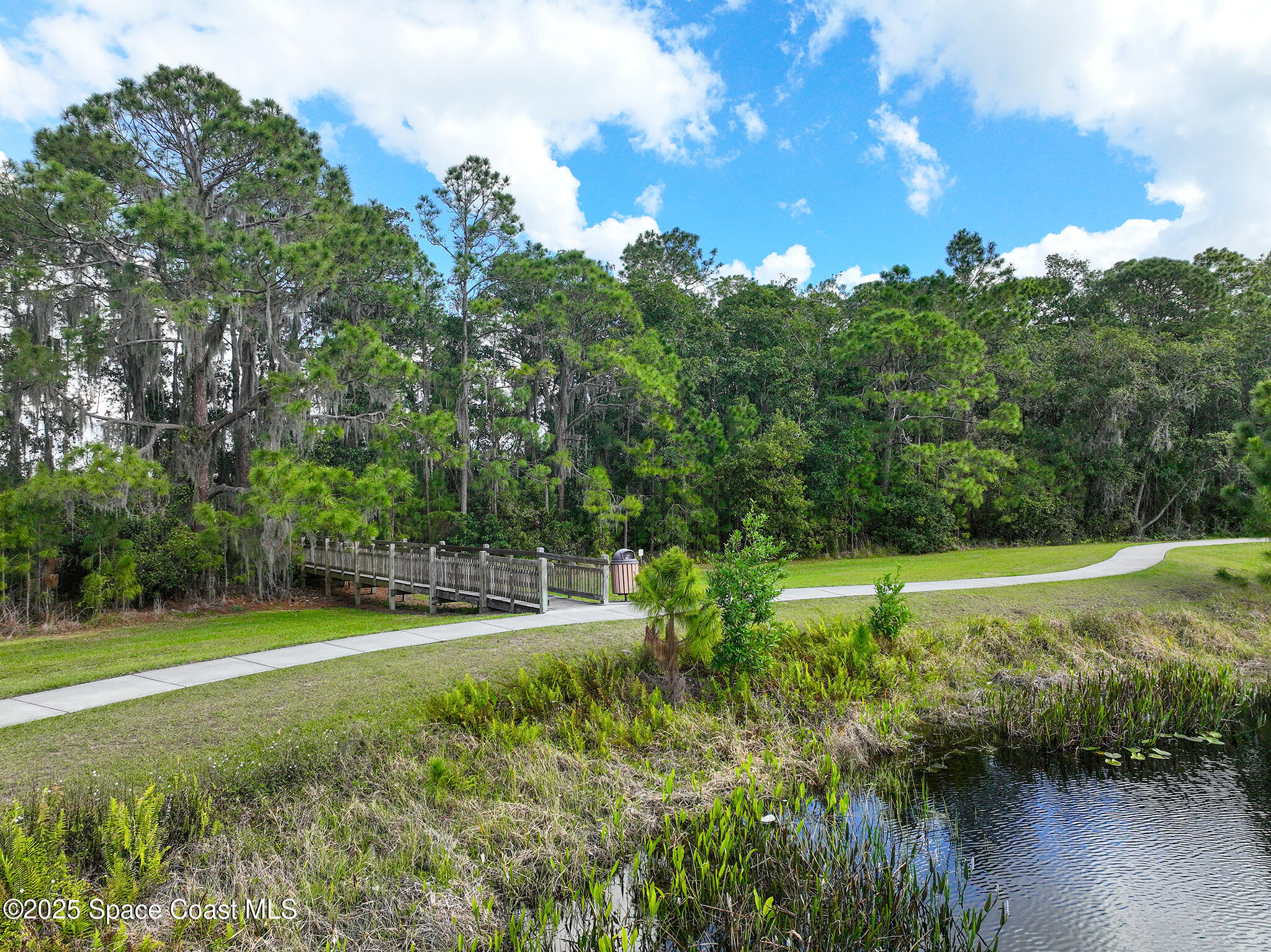 3607 Clay Brick Road Harmony, FL 34773 - Photo 67 of 72 a view of a big yard with large trees