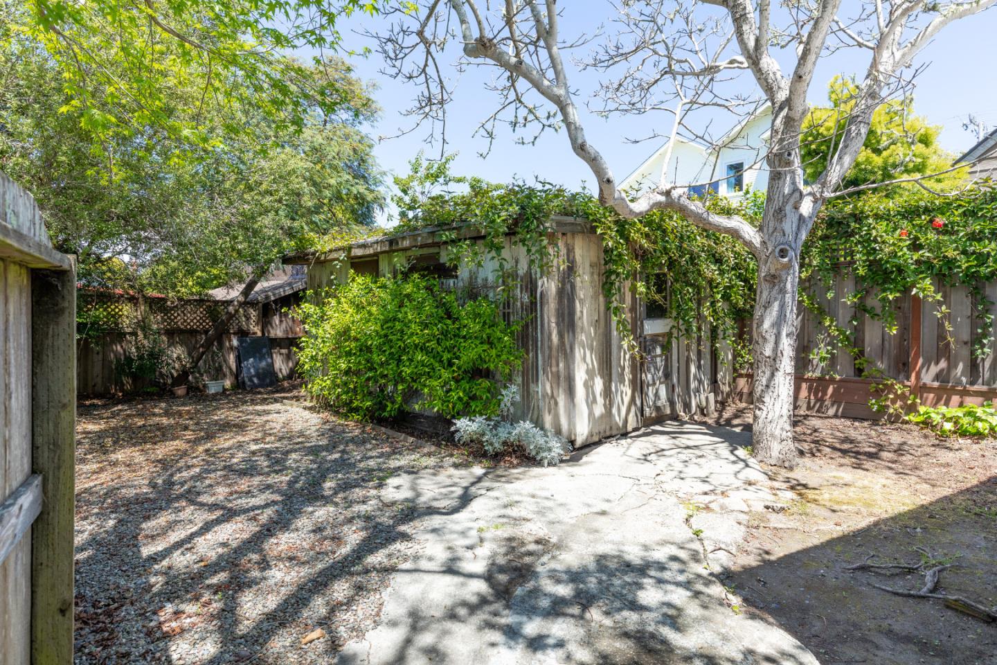 106 Cliff Avenue Capitola, CA 95010 - Photo 14 of 30 a view of backyard with tree