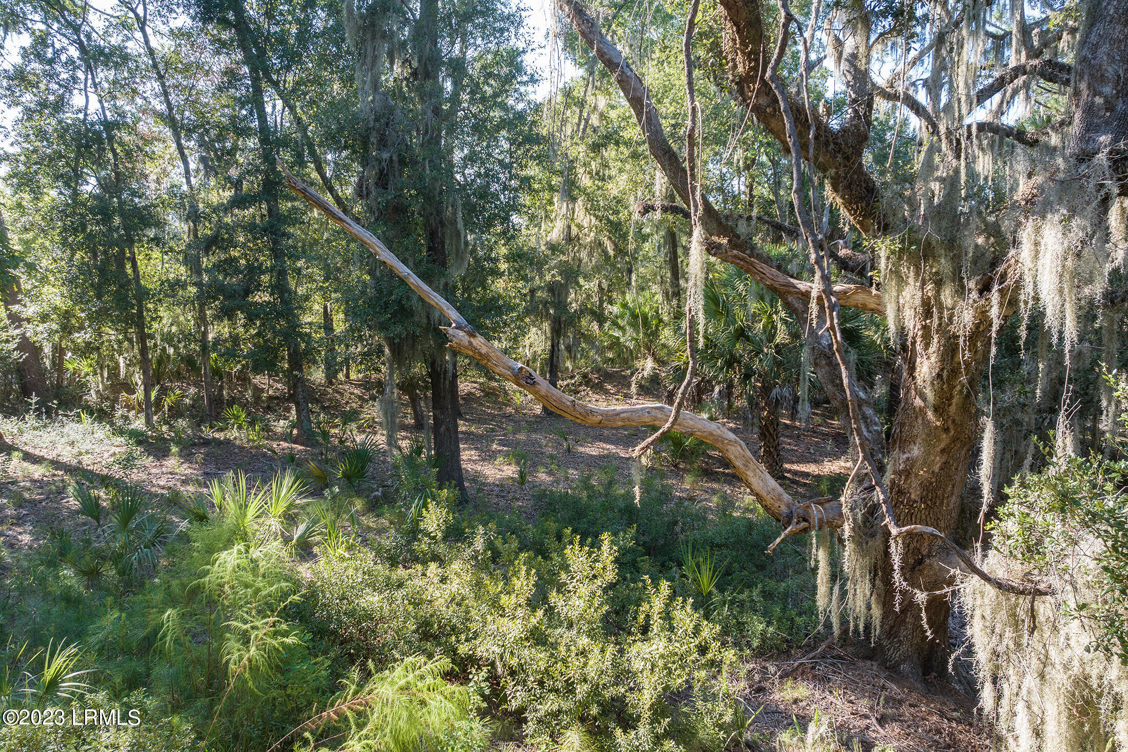 2 Fiddler Pond Loop Beaufort, SC 29907 - Photo 11 of 16 DJI_20231004155851_0843_D copy