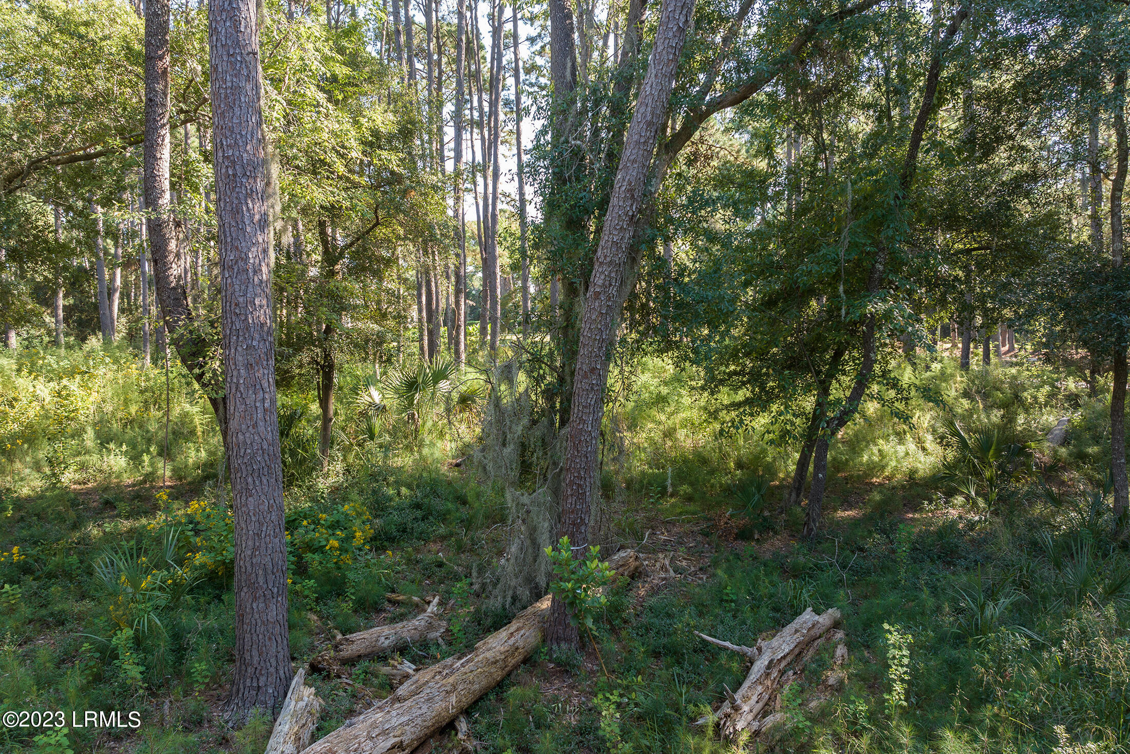 2 Fiddler Pond Loop Beaufort, SC 29907 - Photo 15 of 16 DJI_20231004155845_0839_D copy