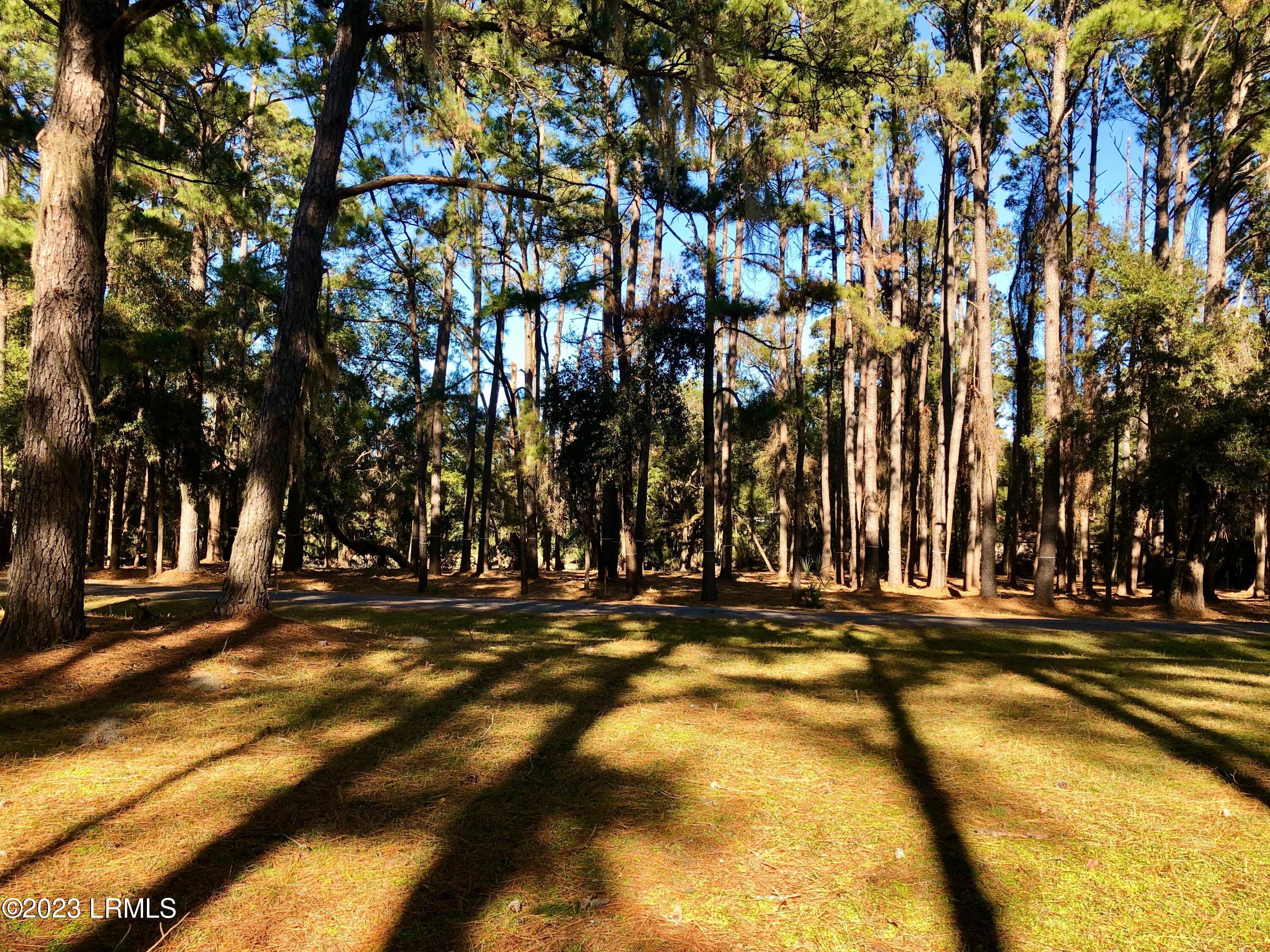 2 Fiddler Pond Loop Beaufort, SC 29907 - Photo 4 of 16 IMG_5868