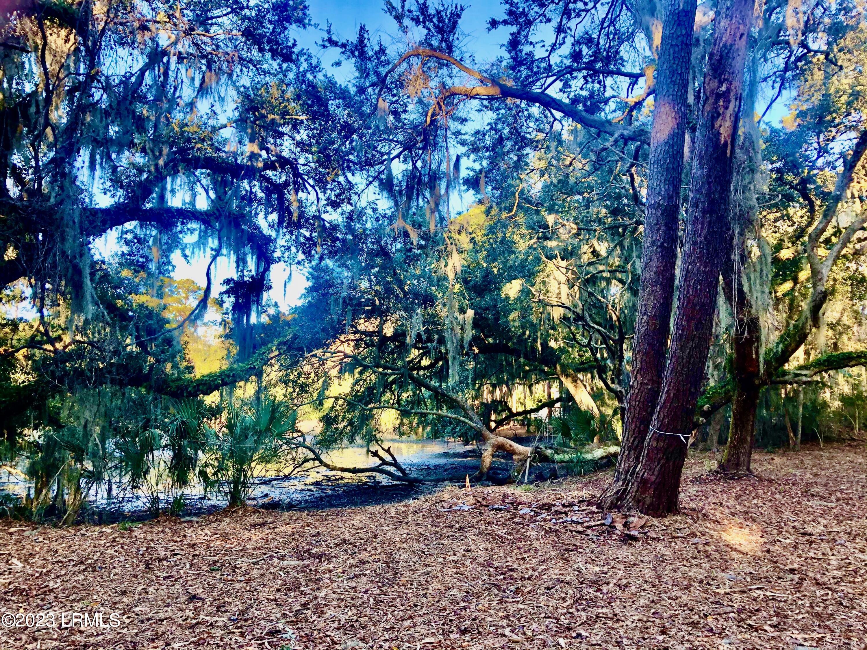 2 Fiddler Pond Loop Beaufort, SC 29907 - Photo 5 of 16 0-5