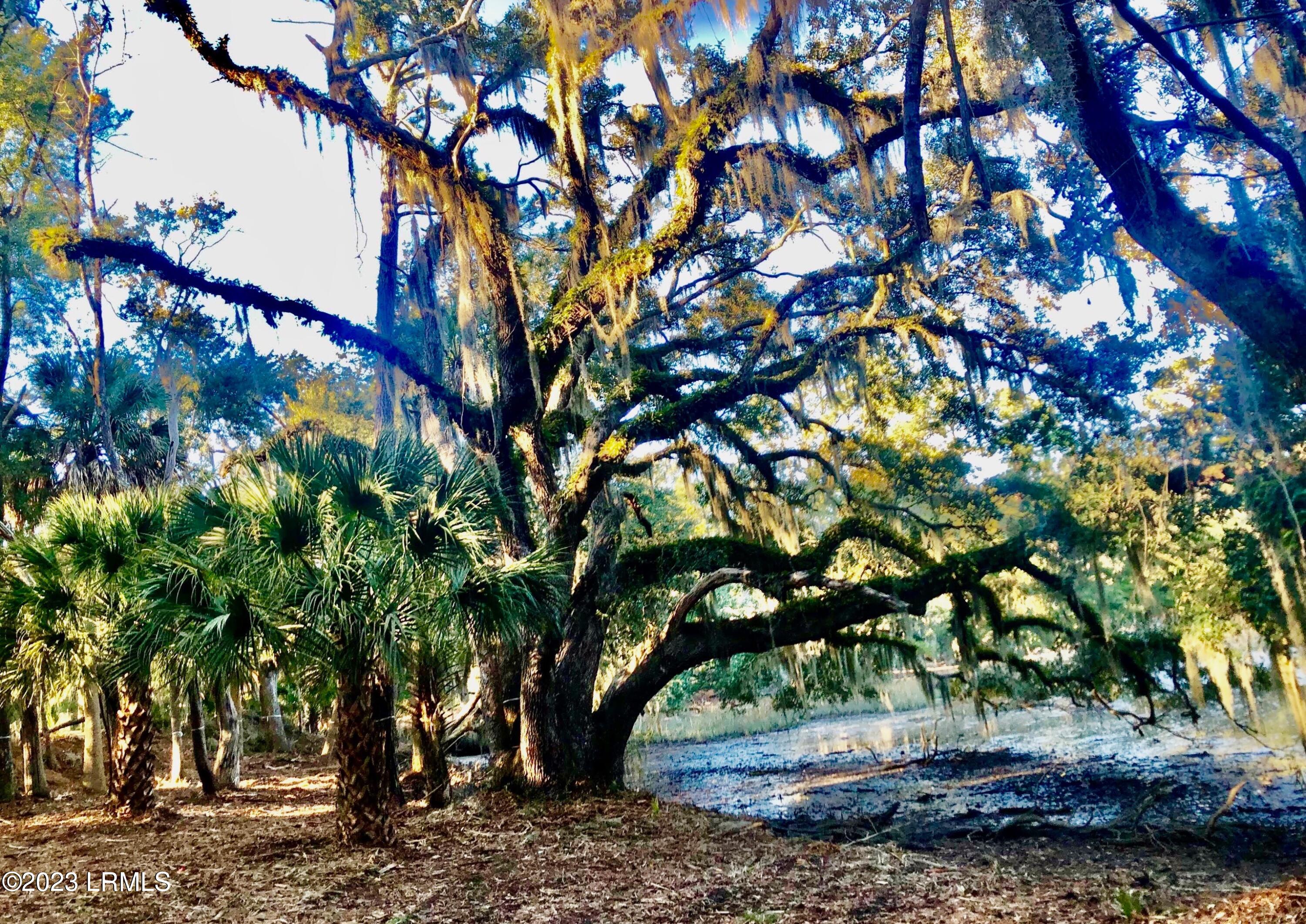 2 Fiddler Pond Loop Beaufort, SC 29907 - Photo 6 of 16 0-1