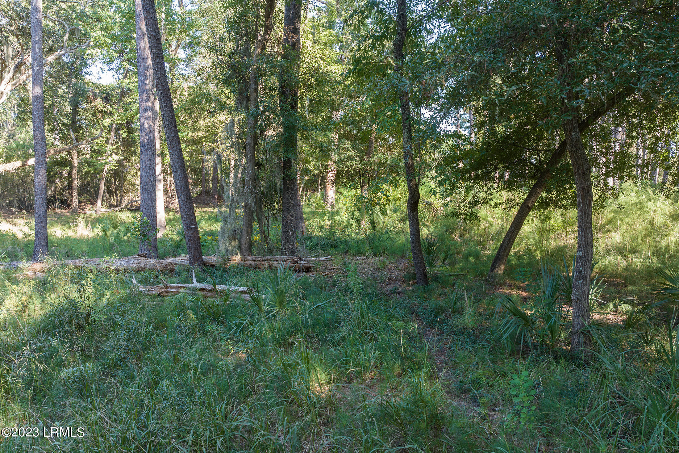 2 Fiddler Pond Loop Beaufort, SC 29907 - Photo 9 of 16 DJI_20231004155906_0846_D copy