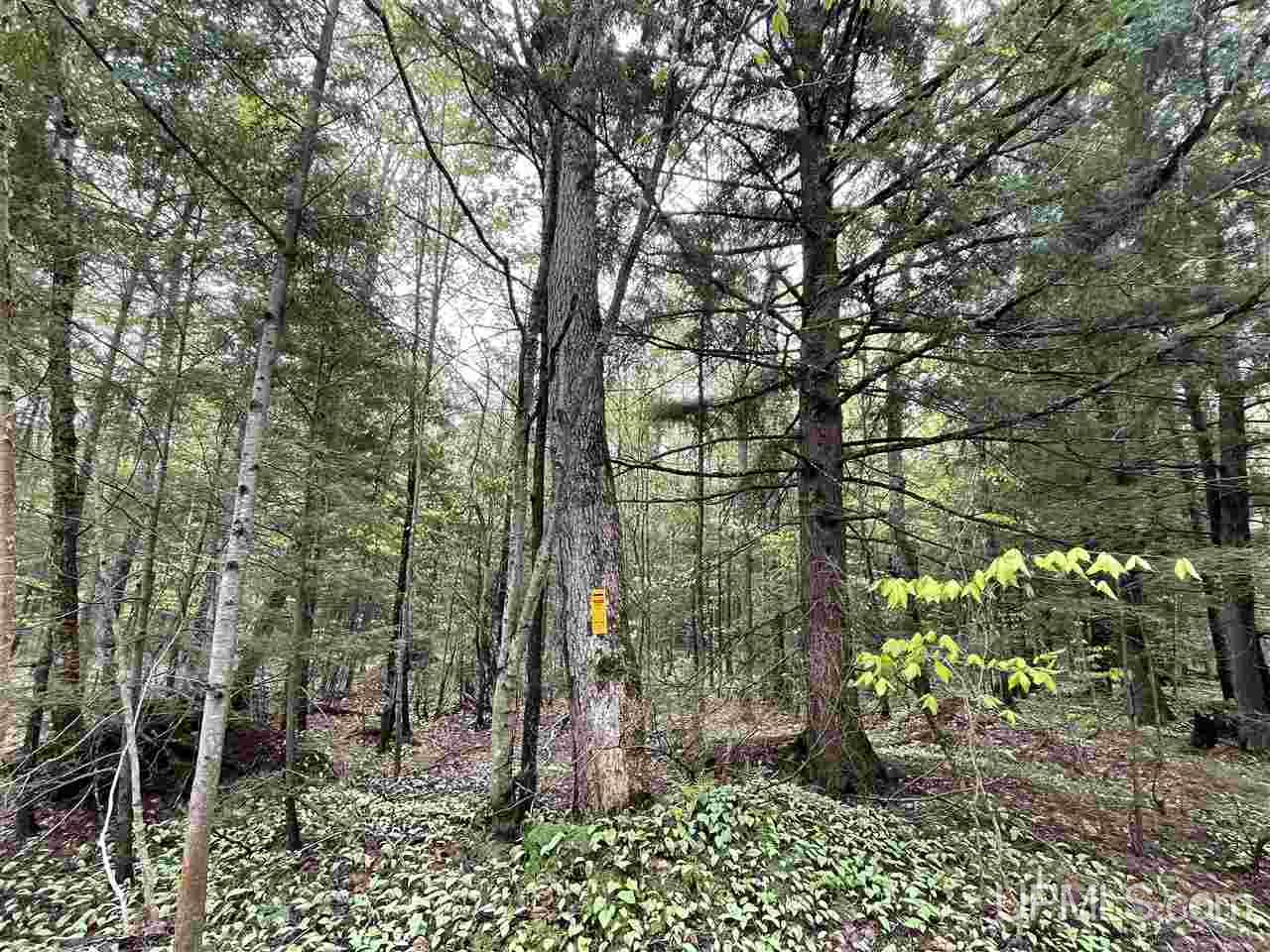0 County Road 577 Road, Unit ANNA RIVER RDP Munising, MI 49862 - Photo 17 of 26