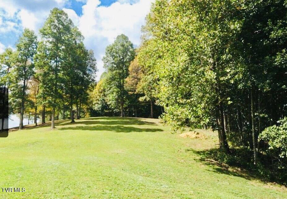 Lot 37 Draft Road, Unit 37 Butler, TN 37640 - Photo 20 of 23 IMG_2297