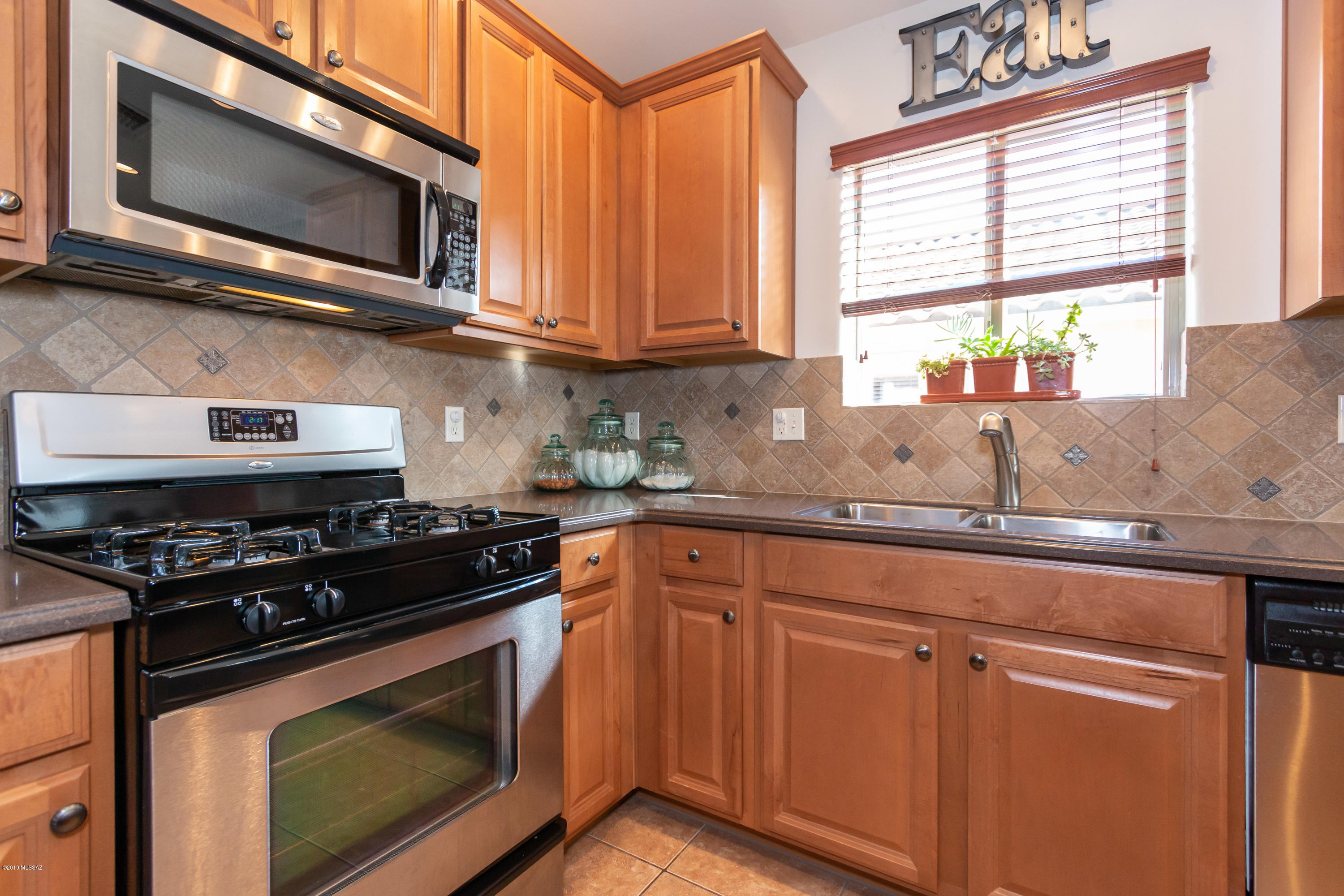 39118 Rodeo Buckle Drive Tucson, AZ 85739 - Photo 9 of 45