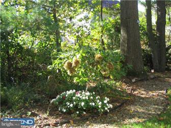 30 New Freedom Road Medford, NJ 08055 - Photo 10 of 11
