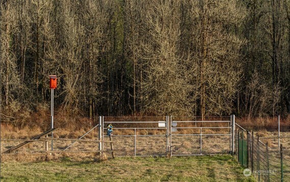 19017 Voight Meadows Road East Orting, WA 98360 - Photo 18 of 22