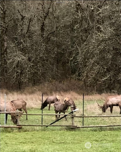 19017 Voight Meadows Road East Orting, WA 98360 - Photo 20 of 22